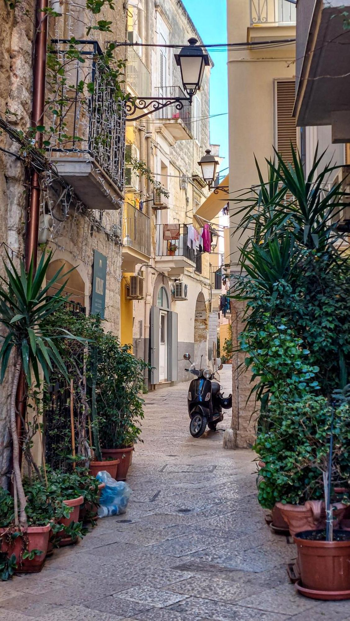 Apartamento Vico Del Consiglio *